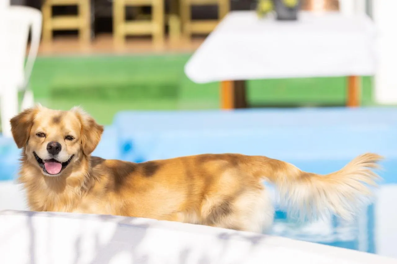 Mountain, Seaviews, And Pool Relax By Sunkeyrents Villa Fasnia Spain